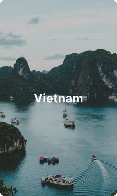 Vietnamese cuisine