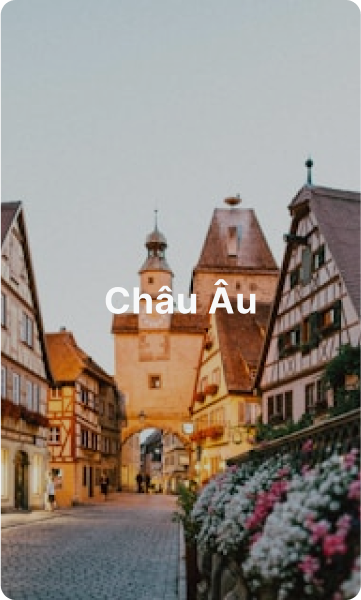Vietnamese cuisine