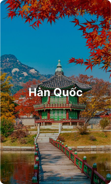 Vietnamese cuisine
